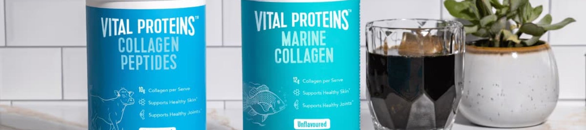 Collagen Peptides vs Marine Collagen: What’s the Difference?