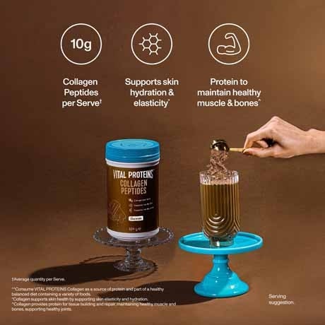 vital proteins chocolate collagen