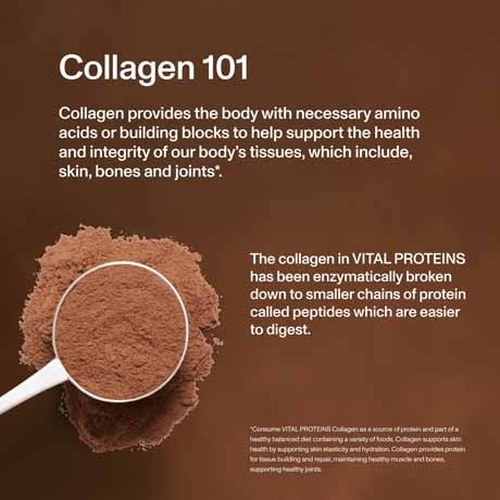 vital proteins chocolate collagen