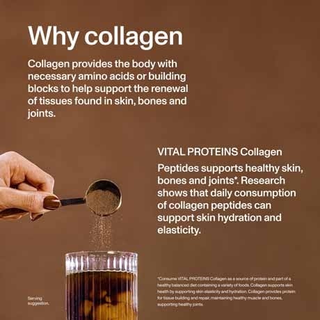 vital proteins chocolate collagen